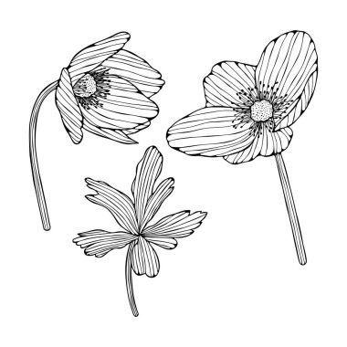 Çiçekler beyaza saçılmış. El çizimi soyut vektör çizimi