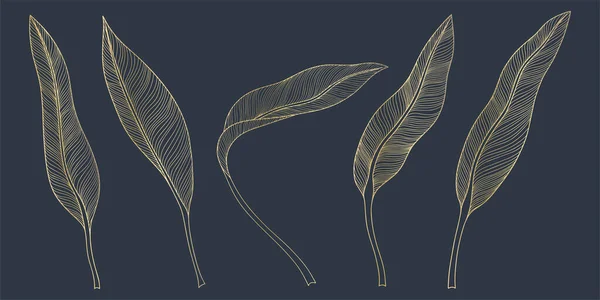 孤立的热带树叶 卡拉狄亚离开了手绘矢量图解 — 图库矢量图片