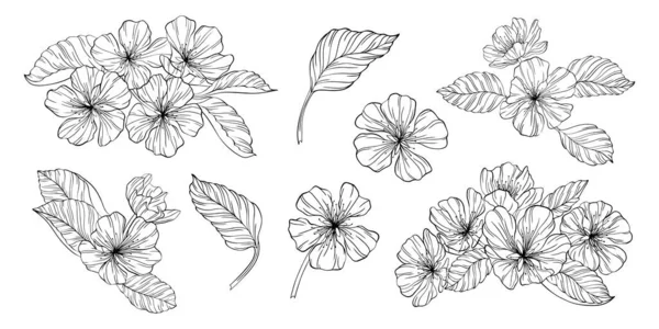 Flores Pera Hojas Aisladas Blanco Ilustración Vectores Línea Dibujada Mano — Archivo Imágenes Vectoriales