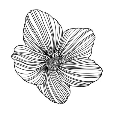 Soyut çiçeğin tasviri. Çizgi çalışması. Eps 10