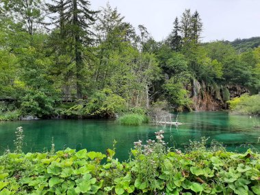 Hırvatistan. Ulusal Park Plitvece gölleri