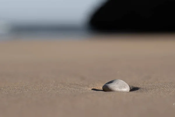 Kumsalın kumlarında tek başına küçük bir taş.