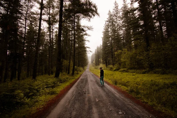Goikomendi, Bask Bölgesi 'nde yeşil bir çam ağacı ormanında yürüyen bir adam..