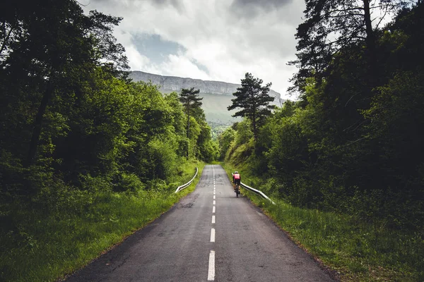 Bask ülkesindeki Aiaraldea Vadisi 'nden bir bisikletçi büyük bir manzarada rpad boyunca yürüyor.