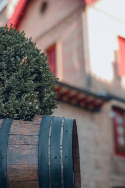 Bodega de Vino y vinacoteca en Haro, La Rioja, İspanya.