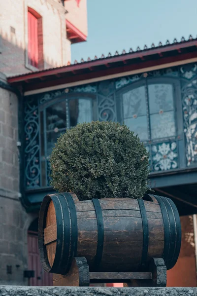 Bodega de Vino y vinacoteca en Haro, La Rioja, İspanya.
