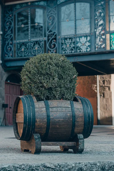 Bodega de Vino y vinacoteca en Haro, La Rioja, İspanya.