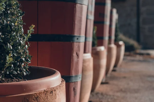 Bodega de Vino y vinacoteca en Haro, La Rioja, İspanya.