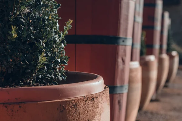 Bodega de Vino y vinacoteca en Haro, La Rioja, İspanya.
