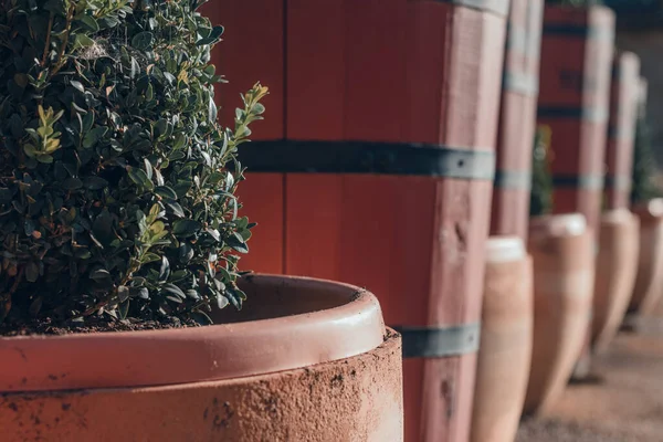 Bodega de Vino y vinacoteca en Haro, La Rioja, İspanya.