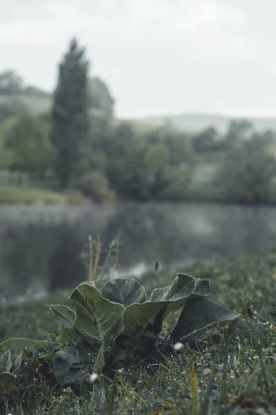 Amanecer en calma en el pantano de Marono, Pas Vasco.