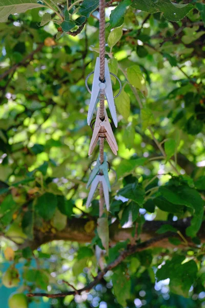 Ağaç yapraklarının arka planına karşı çamaşır ipinde mandallar