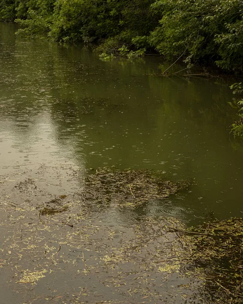Orman nehrinde ılık yaz yağmuru