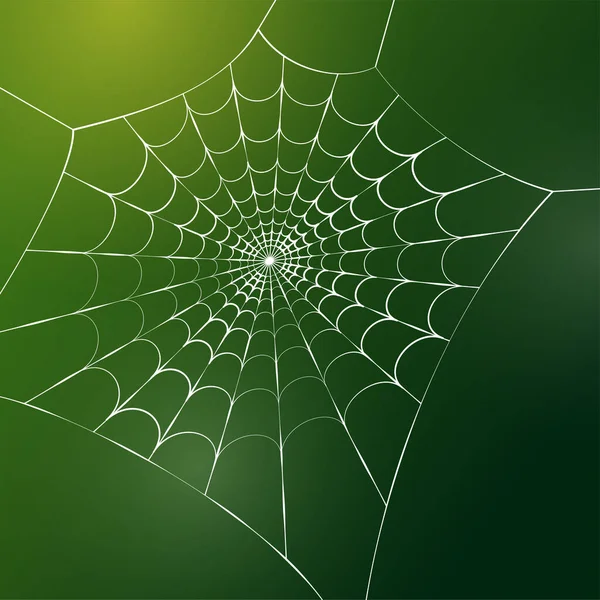 蜘蛛网的概念 — 图库矢量图片