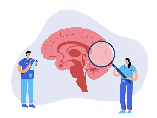 Mózg i neurologia — Wektor stockowy