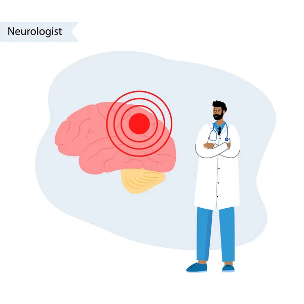 Hersenen en neurologie — Stockvector