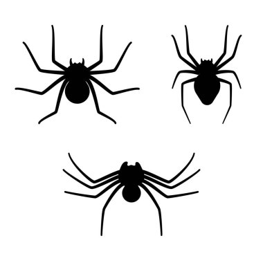 Örümcek ağı kavramı