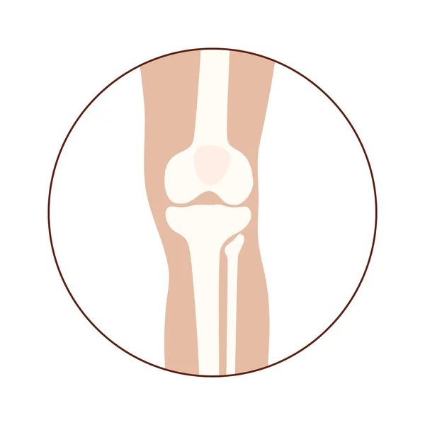 Normale beenderen concept — Stockvector