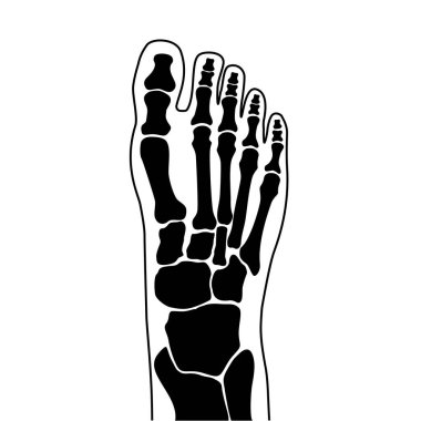 Normal kemik kavramı