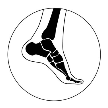 İnsan kemikleri kavramı