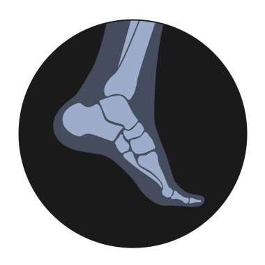 İnsan kemikleri kavramı