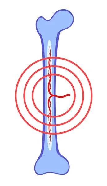 Menselijke interne organen — Stockvector