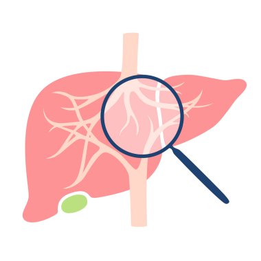 iç insan organları