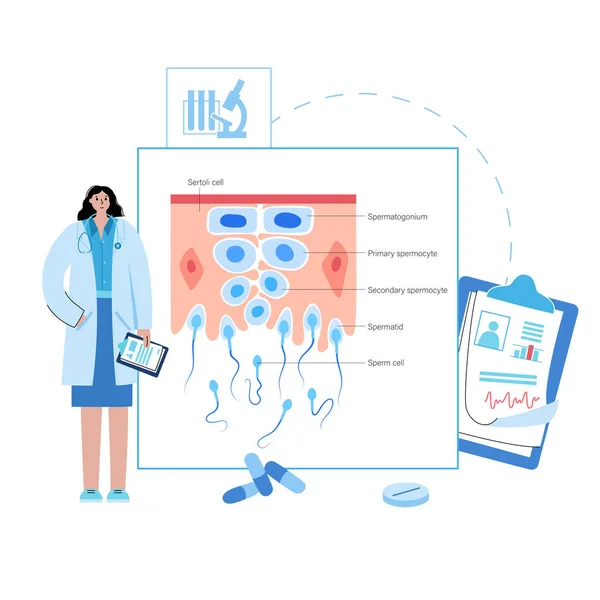 Mitose-procesconcept — Stockvector