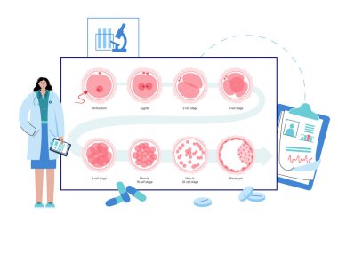 Embriyo geliştirme kavramı