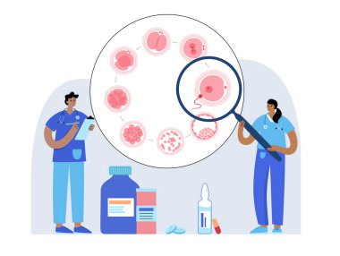 Embriyo geliştirme kavramı