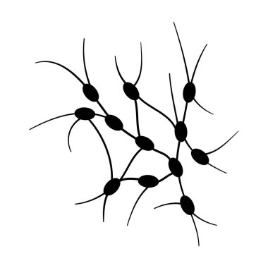 Lenf düğümleri kavramı