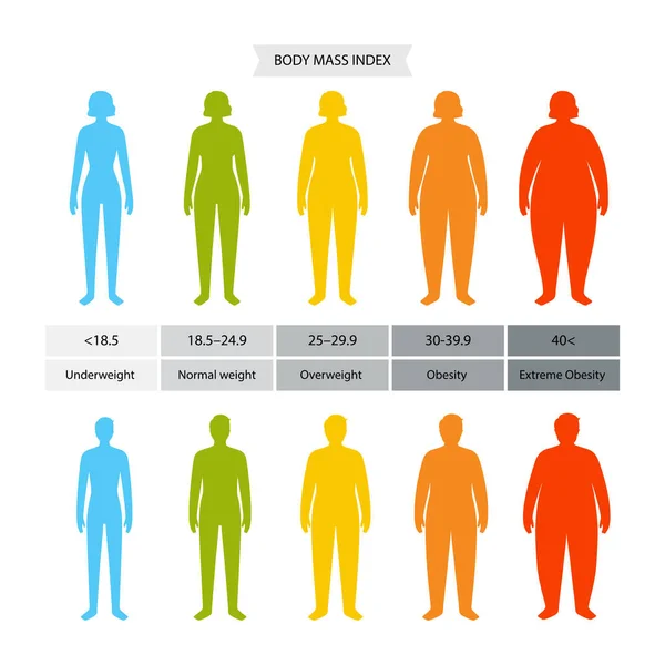 Índice de massa corporal —  Vetores de Stock