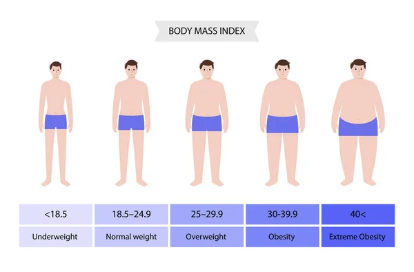 Body mass index man — Stockový vektor