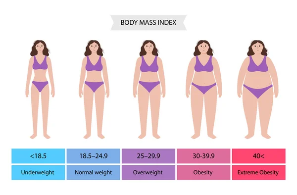 Body-Mass-Index Frau — Stockvektor