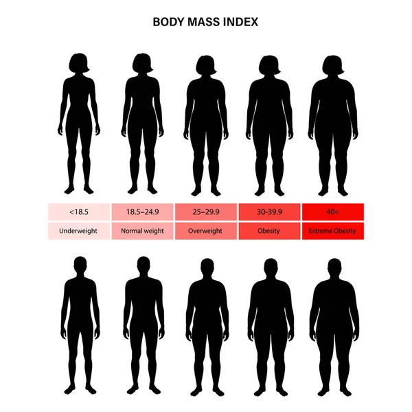 Index tělesné hmotnosti — Stockový vektor