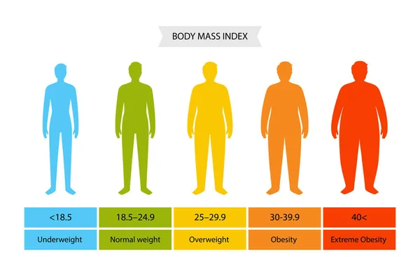 Índice de masa corporal hombre — Vector de stock