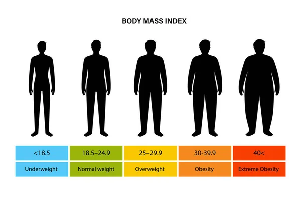 Body Mass Index Mann — Stockvektor