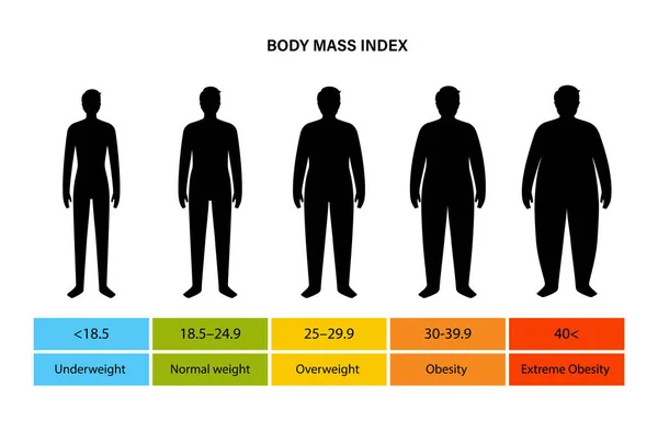 ボディマスインデックスマン — ストックベクタ