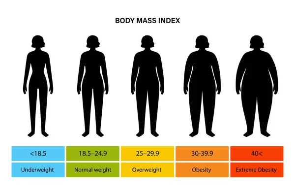 Index tělesné hmotnosti žena — Stockový vektor