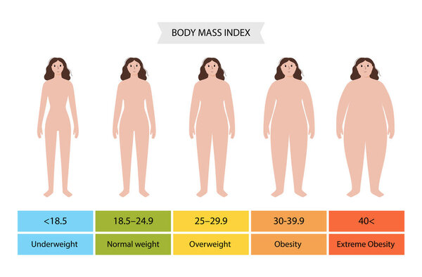 Индекс массы тела женщины