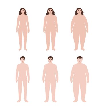 Vücut kütle indeksi