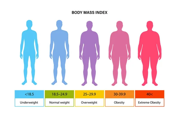 Body mass index man — Stock Vector