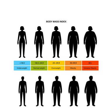 Body mass index clipart