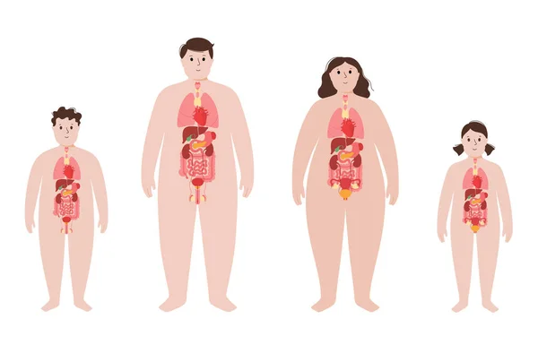 Órganos en el cuerpo humano obeso — Archivo Imágenes Vectoriales