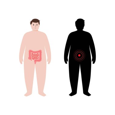 Obez insan vücudundaki organlar