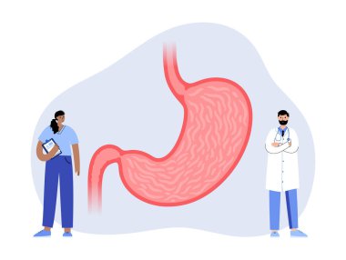 Mide logosu kavramı