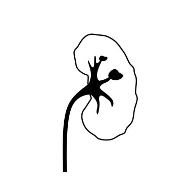 Böbrek hastalığı konsepti