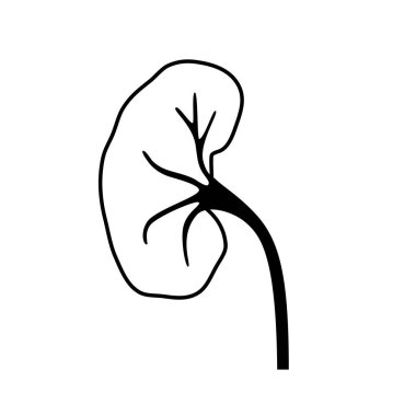 Böbrek hastalığı konsepti