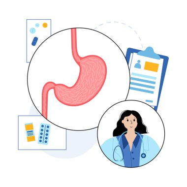 Mide logosu kavramı