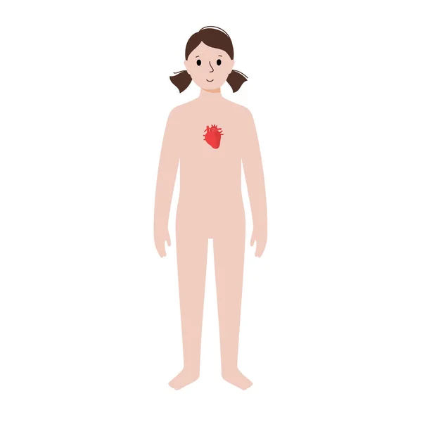 Kadın vücudunda iç organlar — Stok Vektör